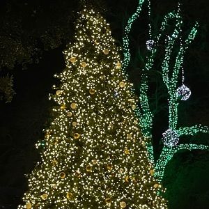 Meet your Posher, Nina